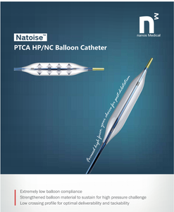 HP/NC Balloon Catheter