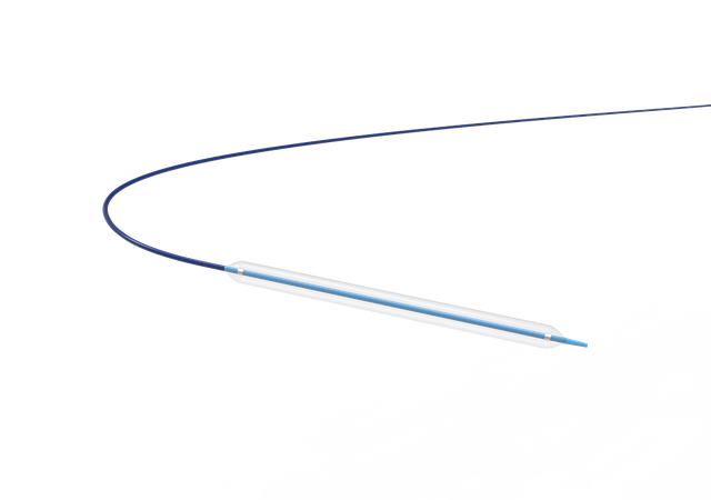 PTA Balloon Catheter